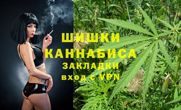 соль ск Нея