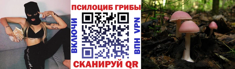 Галлюциногенные грибы ЛСД  hydra ONION  дарк нет формула  Ливны 